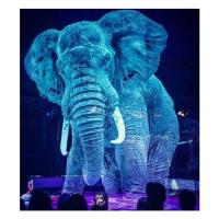 Projecteur 3D olographe olographe flexible de Mesh Screen Motorized 9x30m