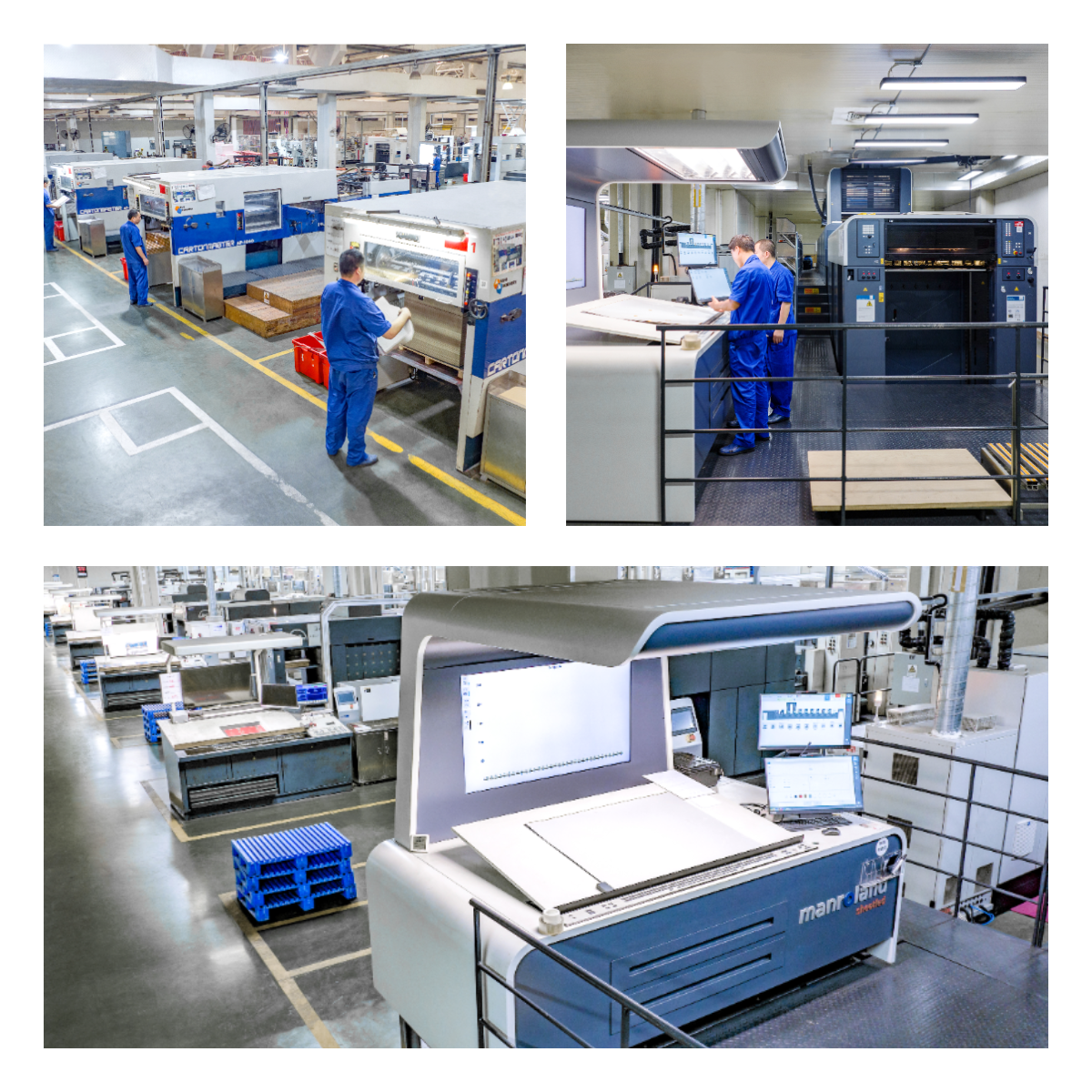 Printing Custom 2 Image 3D Lenticular Business Post Cards 100 Lpi Lenticular Sheet