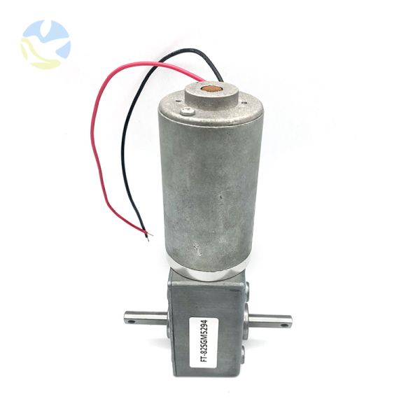 Custom FT-82SGM5294 Dual Output Shaft High Torque High Power DC Worm Gear Brushless Electric Motor