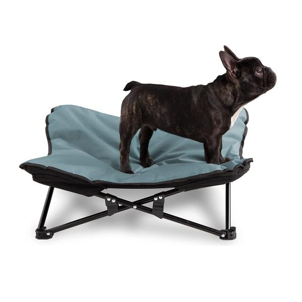 Средняя или большая рамка металла с земной кроватки кота собаки