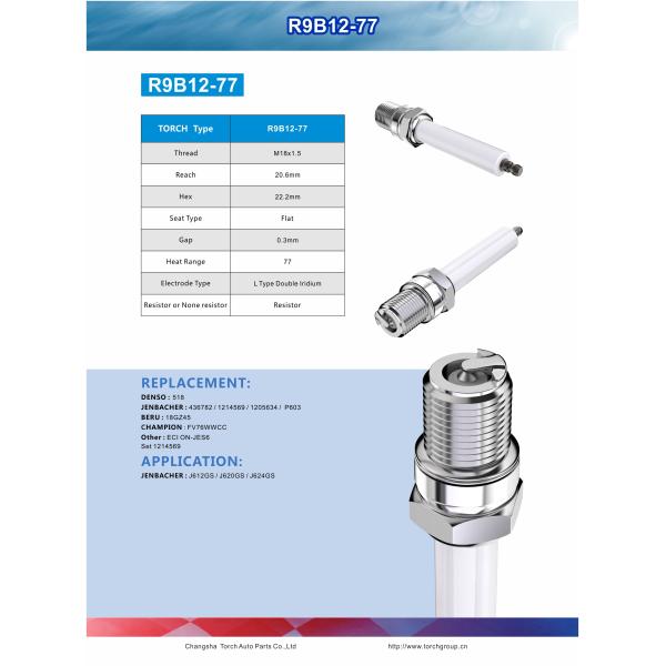 436782 свечи зажигания факела R9B12-77 для генератора GS 620