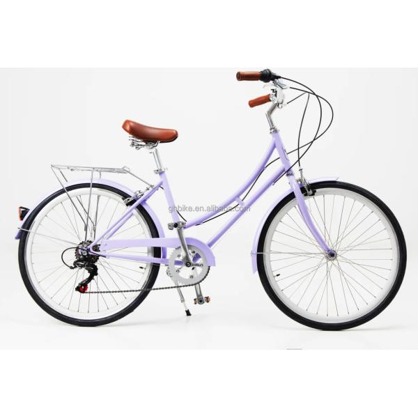 6 Speed Adult Women's Comfort Bike Vintage Lady Fitness City Bicycle with Basket