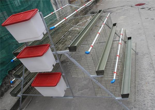 Electric Galvanized 128 Chickens Poultry Cage For Laying Hens , Battery Caged Hens