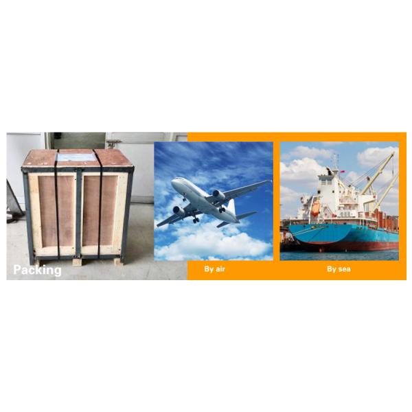 Injection Egg Box Home Appliance Mould