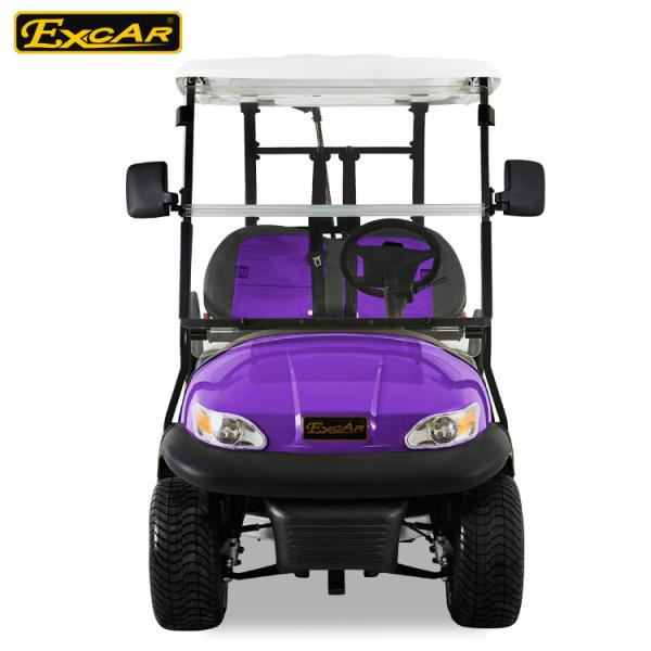 Púrpura y ennegrezca el coche eléctrico 48V de 2 pasajeros con garantía de 1 año