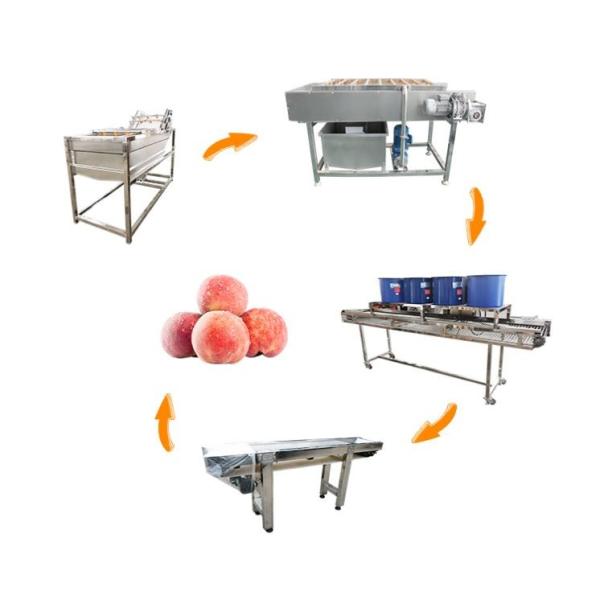Hot selling Vegetable Cleaning Air-blowing Drying Machine For Sell by Huafood