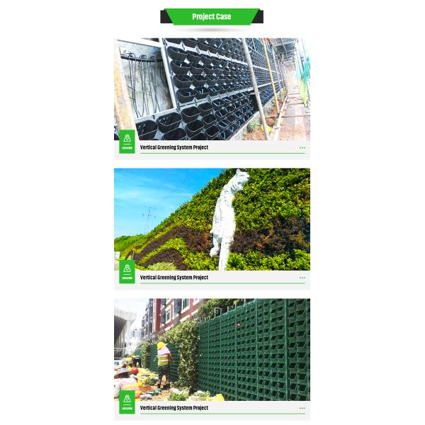 Flower Pot Vertical Garden Planter 12 per Square Meter for Indoor and Outdoor Spaces