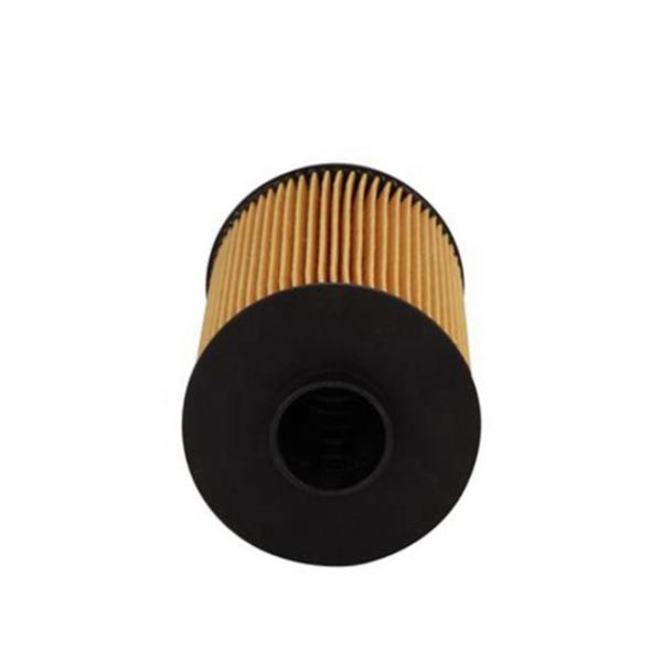 Oil Filter Element 13055724 13010970 for AG-CHEM Car Fitment Diesel Engine Parts
