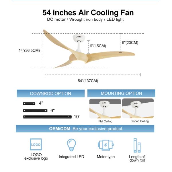 Logotipo OEM 1stshine 54 