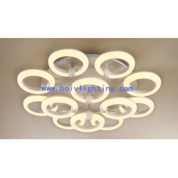 36W Indoor Decprative  Iron Modern Ceiling Light LED Lamps