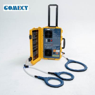 GOMECY 0.6 Tesla Digital PMST Loop Therapy Machine Equipamento de analgésico e salão de beleza