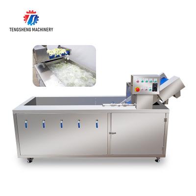 A máquina da limpeza vegetal de Tengsheng, multi Sundries direcionais filtra a máquina de lavar dos espinafres