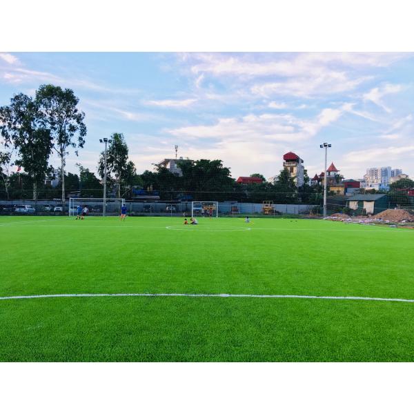 Травы футбола травы Gazon Искусственн De Fotbal En-Gros трава искусственной синтетическая
