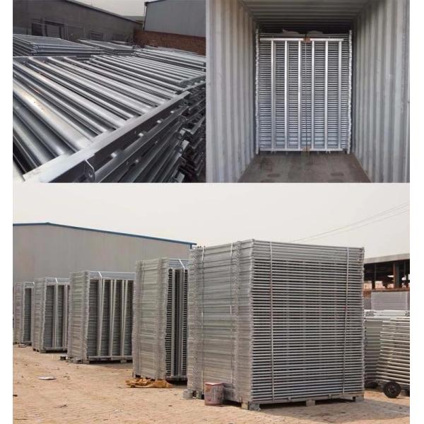 Galvanized Powder Coating 6ft By 10ft Cattle Yard Panels Portable