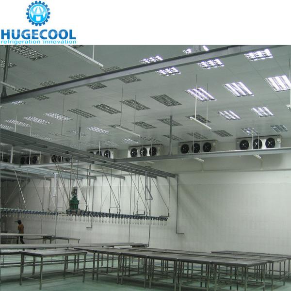 10 Chambre froide sur mesure pour les fruits de mer pour le stockage de viande surgelée Méthode de refroidissement Refroidissement par air