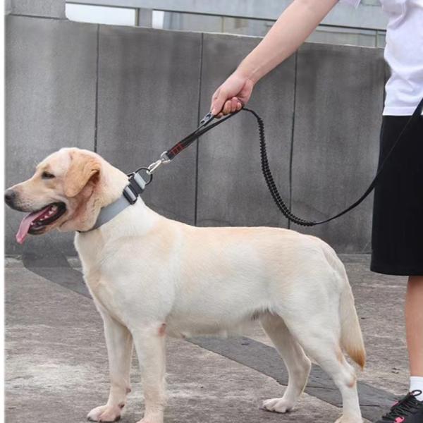 Corda de tração durável multifuncional para cães - ajustável, resistente e confortável