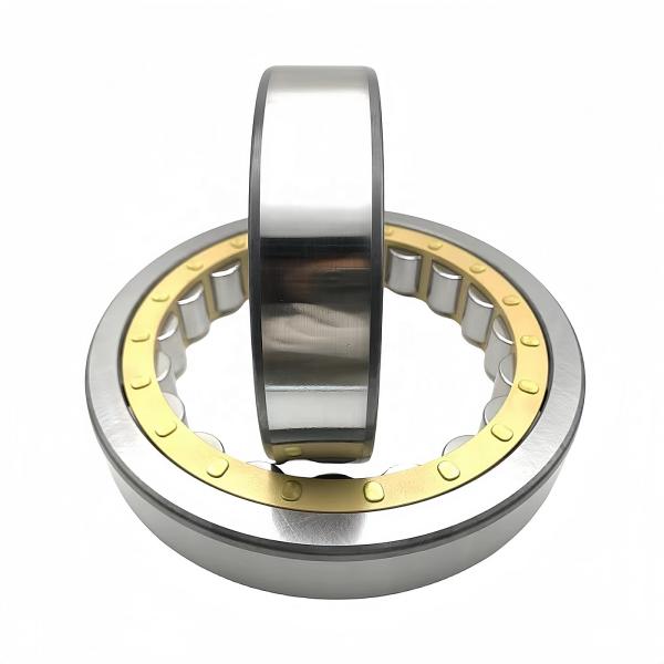 Product Category Single Row Cylindrical Roller Bearings NJ305 NJ306 NJ307 NJ308 NJ309