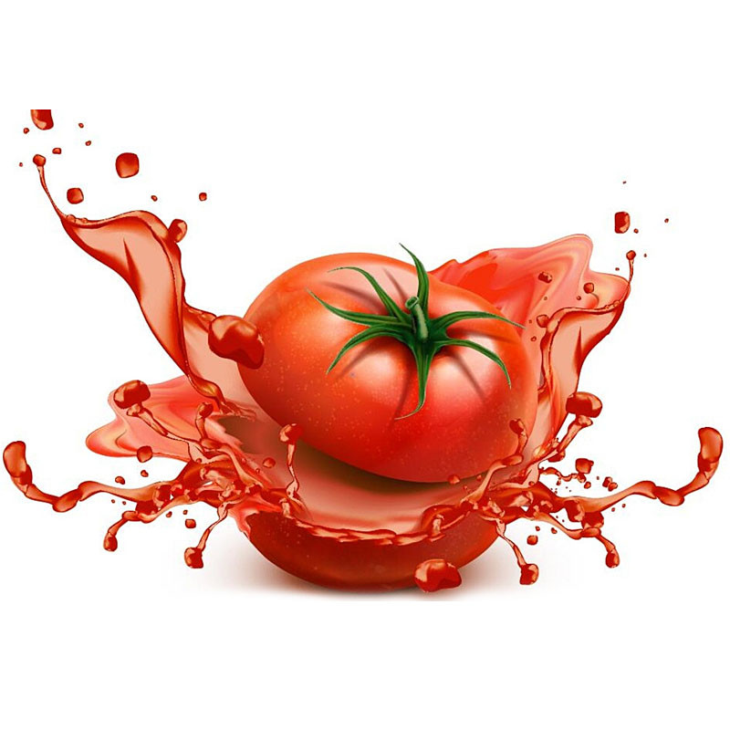 Автоматический делать кетчуп машины обработки томатного соуса лука Chili SUS316 промышленный