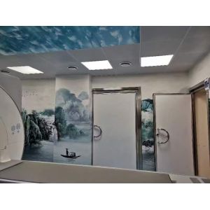 STC 45 MRI Shielding Door with Heavy Duty Ball Bearing Hinges and UL Listed Fire Rating