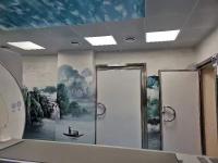 STC 45 Puerta de protección libre de barreras de clase de transmisión de sonido con bisagras de rodamiento de bolas de trabajo pesado