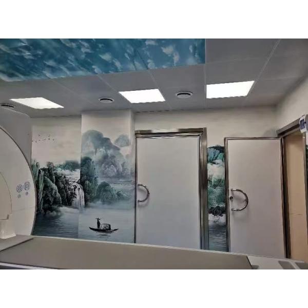 STC 45 MRI Shielding Door with Heavy Duty Ball Bearing Hinges and UL Listed Fire Rating
