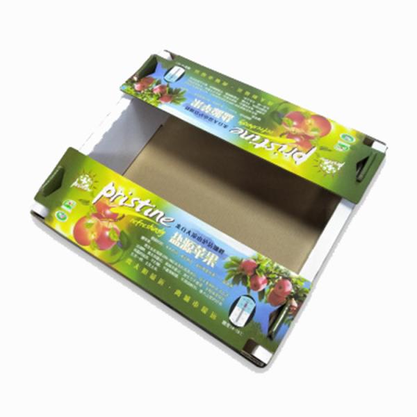 Caixa de presente ondulada sustentável multicolorido para o empacotamento do fruto Leakproof