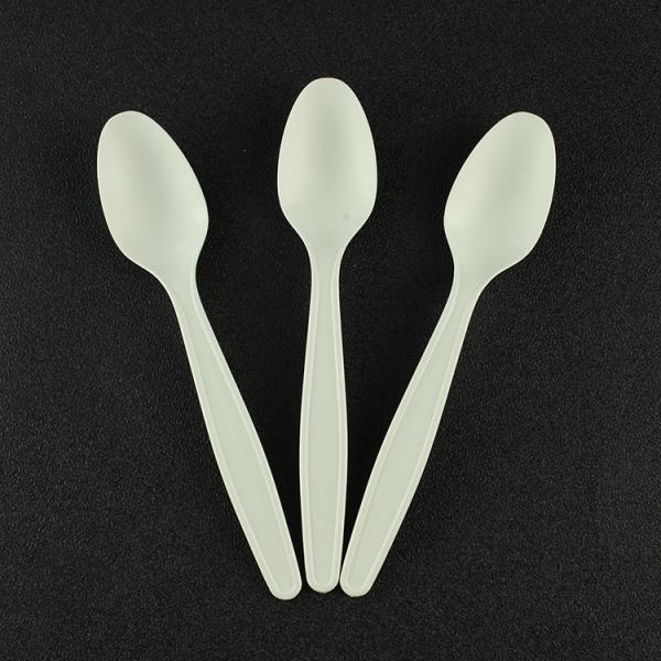 Disposable Spoon Fork Knife Set Biodegradable Option for Catering and Buffet Service