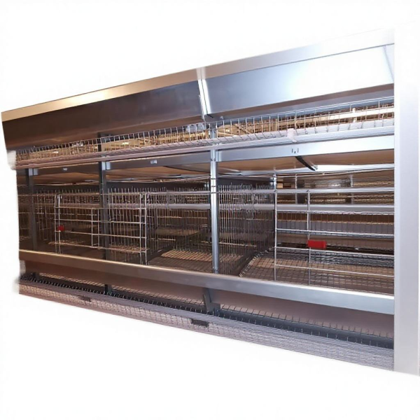 Modular H Type Chicken Egg Layer Cage with Hot-dipped Galvanization and Automatic Feeding System