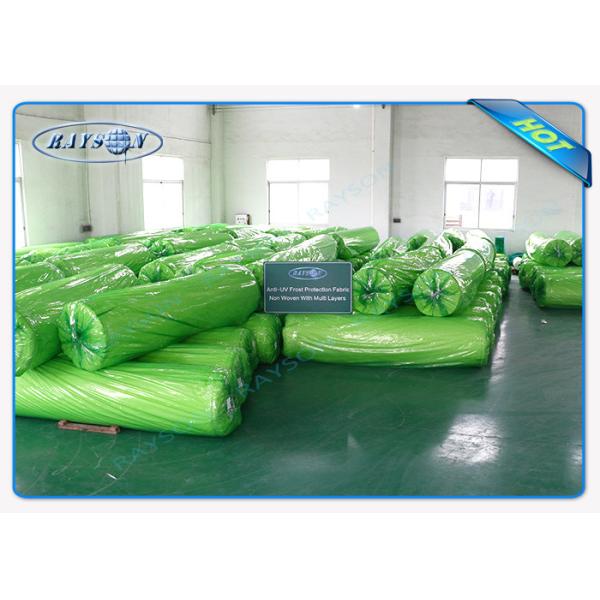 циновка Засорител-управления 25.6m широкая прозрачная Анти--UV для аграрной, белой ткани ландшафта