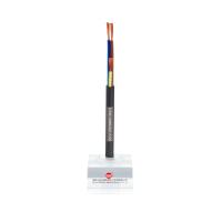 300/500V Rate Voltage Copper Conductor Building Wire 100 M Standard Delivery Length for Electrical Installations