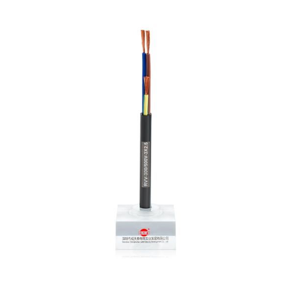 300/500V Rate Voltage Copper Conductor Building Wire 100 M Standard Delivery Length for Electrical Installations