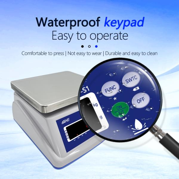 Customizable S1 Waterproof Table Electronic Scale with 15kg Capacity and ODM Support