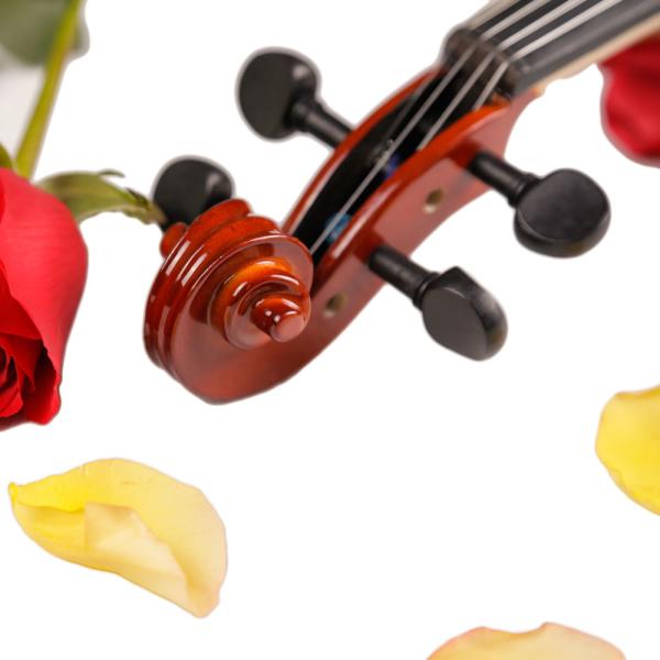 symphony orchestra instruments Wholesale price Professional Astonvilla AV-E310 matte electro-acoustic EQ violin with