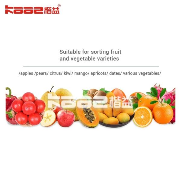0.5-30T/H Automatic Photoelectric Fruit Sorting System Automatic Fruit Grading Machine