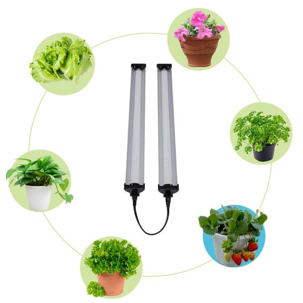 Industrial Grade RoHS Dimmable Led Grow Lights Greenhouse 50000hrs Lifespan