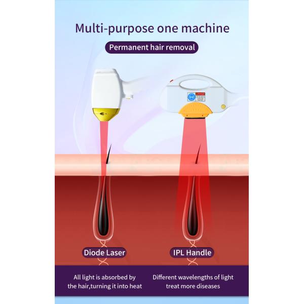 STANDING Beauty Machine for Skin Rejuvenation and Diode Laser Hair Removal 755 808 1064nm