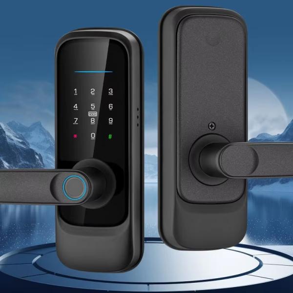自動バイオメトリック指紋 スマートドアロック トゥヤアプリ フロントホーム