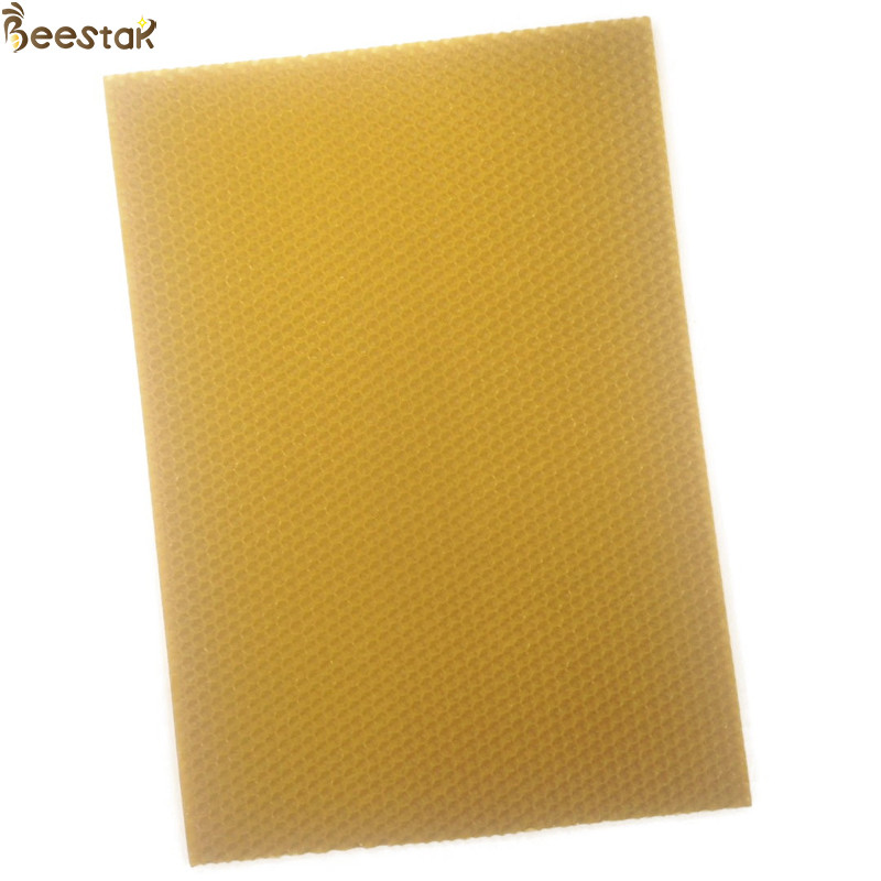 Естественное учреждение Beeswax сота покрывает c органический для делать свечу