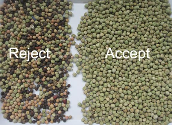 Biggest Capacity Soya Bean Color Sorter High Performance