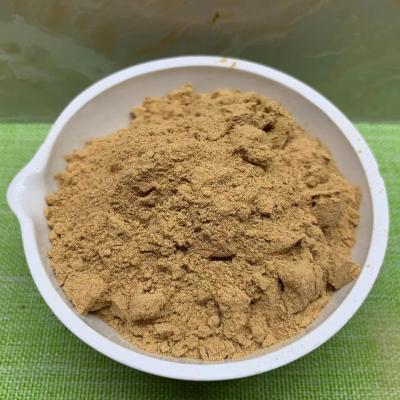 Leveduras secas e muito activas Saccharomyces cerevisiae