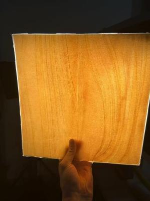 Transparent Modern Light PC Stone Laminate