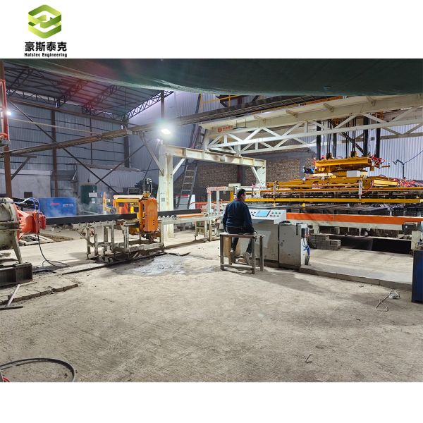 Automatic Frame Stacking Machine with 20.4 Power and 30000 Bricks Per Hour Capacity Featuring Customized Gripper