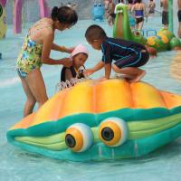 Jeu d'Aqua de Shell de jet d'équipement de terrain de jeu de l'eau de fibre de verre pour le parc d'attractions
