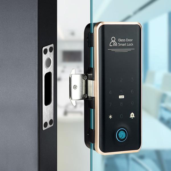 Вилла Face ID Smart Lock ROHS Автоматический дверной замок для квартиры