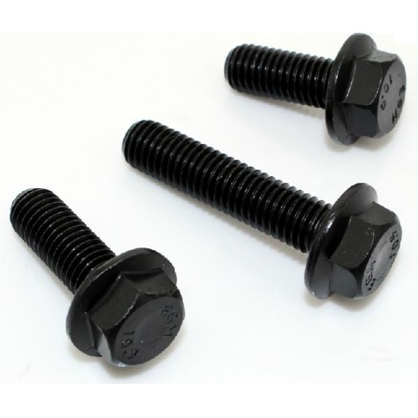 М5-М100 Механический винт для фланца с оцинкованным внешним шестиугольником и нескользящей поверхностью