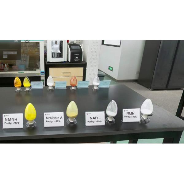 Nicotinamide Riboside Hydrogen Malate NRHM NAD+ booster Bulk Powder Wholesale