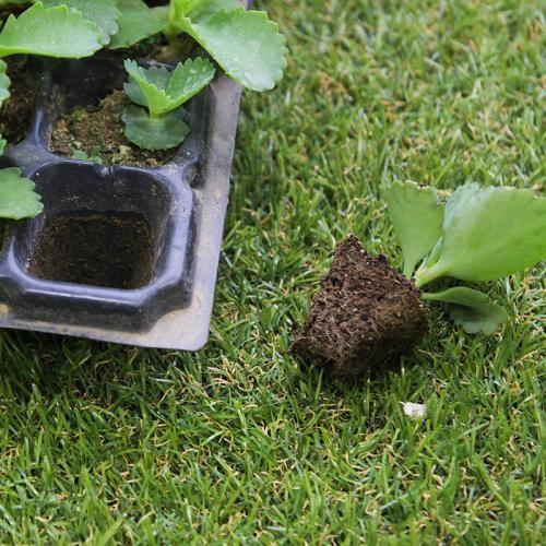 200 Holes Nursery Tray Plastic Seedling Tray Mango Plant Tomato Cell Trays