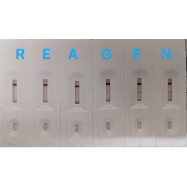RNS92048 40 Определения Кровь IgG IgM Rapid Test Kit