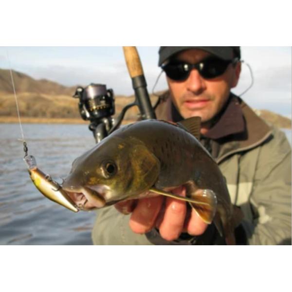 4 цвета 18 см/80 г Деревянная приманка Требл крюки Водный удар Большой рот Басс Тунец Рыбная приманка Поппер Деревянная рыбная приманка