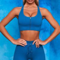 Tamaño de Front Zip Sports Bra Plus del sujetador de los deportes del gimnasio de Spandex del poliéster de XXXL